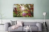 Canvas Schilderij Appel - Boom - Fruit - 120x80 cm - Wanddecoratie