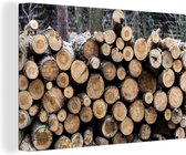 Des dizaines de troncs d'arbres empilés dans la nature 30x20 cm - petit - Tirage photo sur toile (Décoration murale salon / chambre)