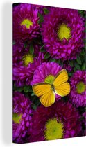 Un papillon orange sur toile fleurs Aster 20x30 cm - petit - Tirage photo sur toile (Décoration murale salon / chambre)
