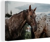 Canvas Schilderij Paarden - Gras - Dieren - 60x40 cm - Wanddecoratie