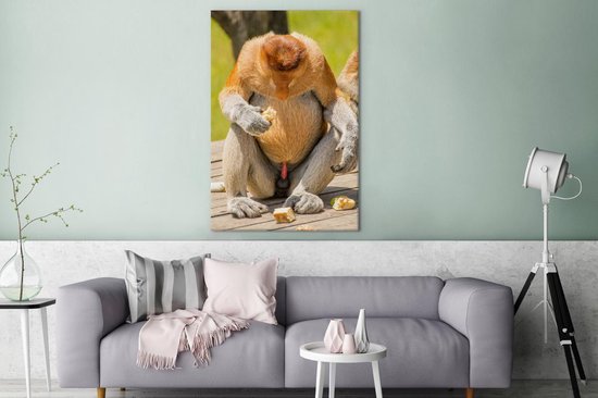 Un singe proboscis regardant vers le bas 90x140 cm - Tirage photo sur toile (Décoration murale salon / chambre)