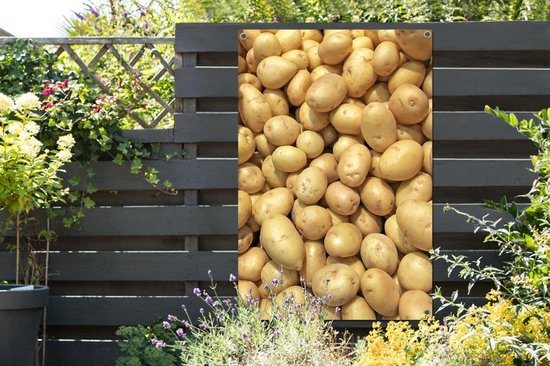 Pommes de terre pelées en tas dans les basses terres du Chili Poster jardin 80x120 cm - Toile de jardin / Toile d'extérieur / Peintures pour l'extérieur (décoration de jardin)