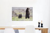 Canvas Schilderij Grizzlybeer - Jongen - Gras - 60x40 cm - Wanddecoratie