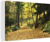 Canvas Schilderij Herfstbossen in het Nationaal park Sierra de Guadarrama in Spanje - 30x20 cm - Wanddecoratie