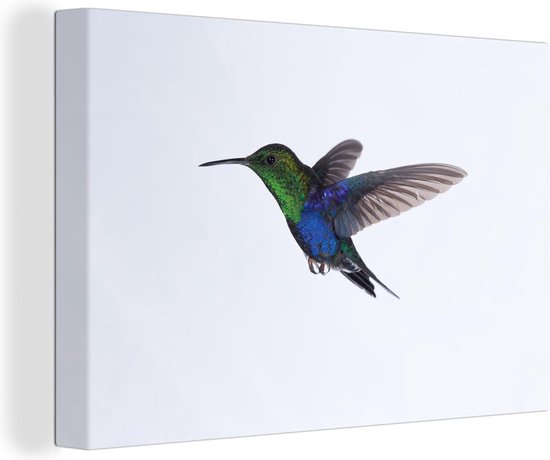 Canvas Schilderij Vogels - Kolibrie - Groen - Blauw - Wanddecoratie