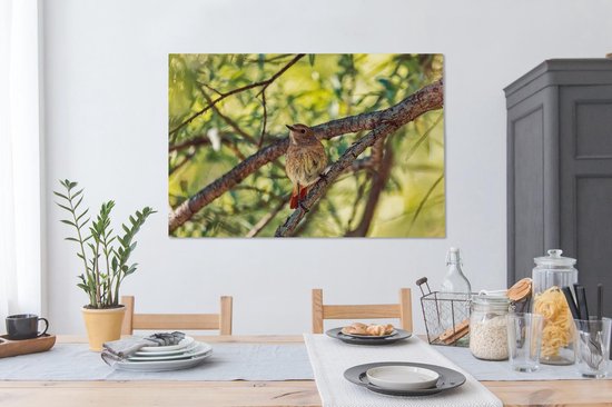 Un rougequeue à collier dans la forêt Toile 140x90 cm - Tirage photo sur toile (Décoration murale salon / chambre)