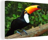 Un toucan assis sur un tronc d'arbre Toile 90x60 cm - Tirage photo sur toile (Décoration murale salon / chambre)