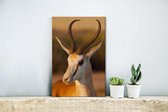 Canvas Schilderij Gazelle - Portret - Zon - 20x30 cm - Wanddecoratie