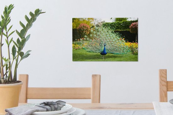 Paon aux plumes étalées dans un jardin Toile 30x20 cm - petit - Tirage photo sur toile (Décoration murale salon / chambre)
