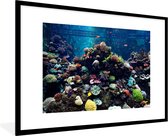 Photo en cadre - Aquarium avec cadre photo poissons tropicaux et coraux noir avec passe-partout blanc grand 90x60 cm - Affiche sous cadre (Décoration murale salon / chambre)