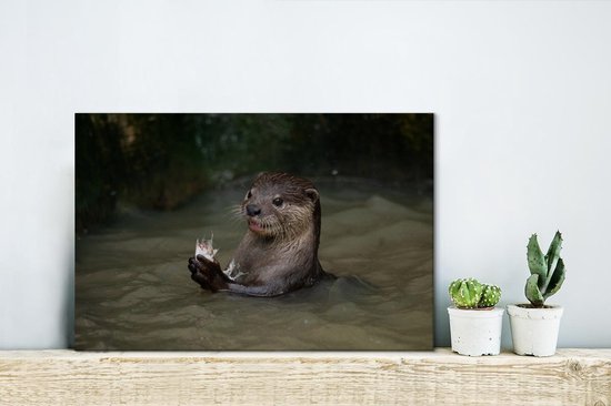 Loutre avec de la nourriture dans l'eau toile 2cm 30x20 cm - petit - Tirage photo sur toile (Décoration murale salon / chambre) / Animaux sauvages Peintures sur toile