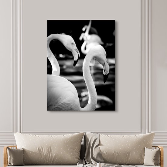 Gros plan de flamants roses en noir et blanc 120x160 cm - Tirage photo sur toile (Décoration murale salon / chambre) XXL / Groot format!