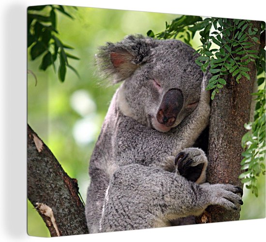 Canvas Schilderij Koala - Portret - Bladeren - 40x30 cm - Wanddecoratie