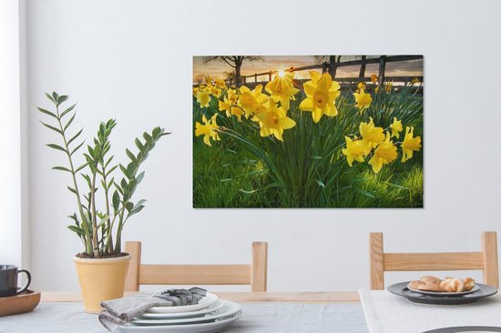 Coucher de soleil derrière les jonquilles dans le champ 90x60 cm - Tirage photo sur toile (Décoration murale salon / chambre) / Peintures Fleurs sur toile
