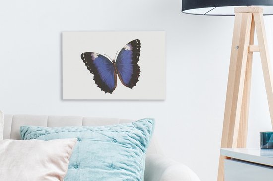 Illustration d'un papillon bleu avec bords noirs 30x20 cm - petit - Tirage photo sur toile (Décoration murale salon / chambre)