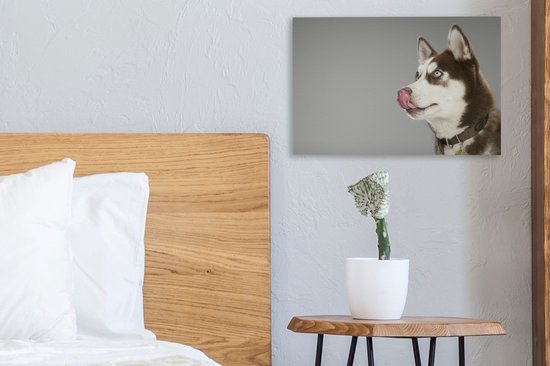 Husky lèche le nez sur toile 2cm 30x20 cm - petit - Tirage photo sur toile (Décoration murale salon / chambre) / animaux sauvages Peintures sur toile