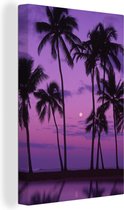 Silhouettes de palmiers contre un ciel violet avec la lune et un reflet 80x120 cm - Tirage photo sur toile (Décoration murale salon / chambre) / Arbres Peintures sur toile