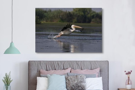 Pelican en Roumanie 180x120 cm - Tirage photo sur Toile (Décoration murale salon / chambre) / Animaux sauvages Peintures sur toile XXL / Groot format!