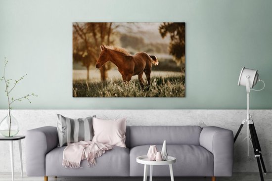 Poulain quarter horse dans les pâturages 120x80 cm - impression photo sur toile peinture (Décoration murale salon / chambre à coucher) / Mammifères toile Peintures