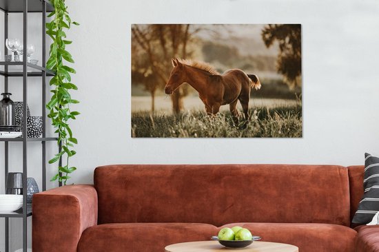 Poulain quarter horse dans les pâturages 120x80 cm - impression photo sur toile peinture (Décoration murale salon / chambre à coucher) / Mammifères toile Peintures