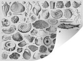 Illustrations de fossiles de différentes époques affiche de jardin toile lâche
