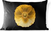 Buitenkussens - Tuin - Gele klaproos op zwarte achtergrond - 50x30 cm