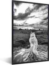 Fotolijst incl. Poster - Wolf uitkijkend over landschap in zwart-wit - 60x90 cm - Posterlijst
