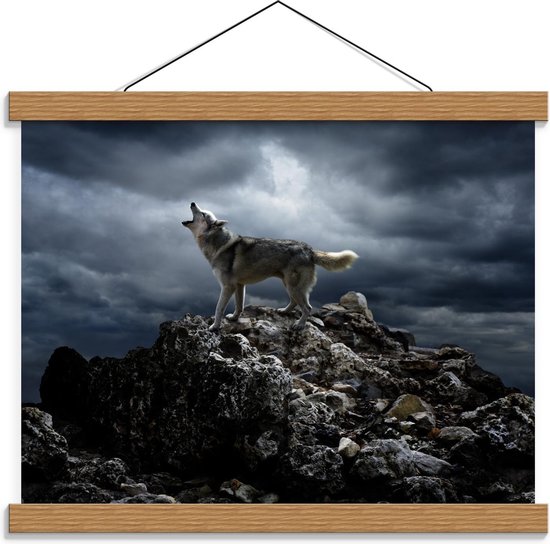 Schoolplaat – Huilende Wolf op Rots - 40x30cm Foto op Textielposter (Wanddecoratie op Schoolplaat)