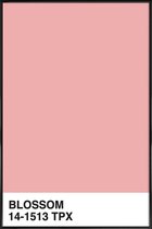 JUNIQE - Poster met kunststof lijst Blossom -13x18 /Roze & Wit