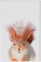 JUNIQE - Poster in kunststof lijst Red Squirrel -20x30 /Grijs & Oranje