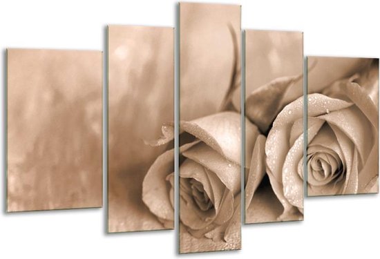 Glasschilderij Roos - Sepia, Bruin - 170x100cm 5Luik - Foto Op Glas - Geen Acrylglas Schilderij - 6000+ Glasschilderijen Collectie - Wanddecoratie