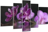 Glasschilderij Orchidee - Paars, Zwart - 170x100cm 5Luik - Foto Op Glas - Geen Acrylglas Schilderij - 6000+ Glasschilderijen Collectie - Wanddecoratie