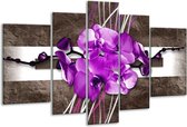 Glasschilderij Orchidee - Paars, Grijs, Wit - 170x100cm 5Luik - Foto Op Glas - Geen Acrylglas Schilderij - 6000+ Glasschilderijen Collectie - Wanddecoratie