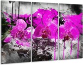 Glasschilderij Orchidee - Paars, Grijs, Wit - 120x80cm 3Luik - Foto Op Glas - Geen Acrylglas Schilderij - GroepArt 6000+ Glas Art Collectie - Maatwerk Mogelijk
