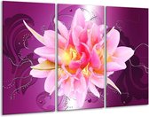 GroepArt - Schilderij -  Modern - Roze, Paars - 120x80cm 3Luik - 6000+ Schilderijen 0p Canvas Art Collectie