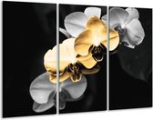 GroepArt - Schilderij -  Orchidee - Oranje, Zwart, Grijs - 120x80cm 3Luik - 6000+ Schilderijen 0p Canvas Art Collectie