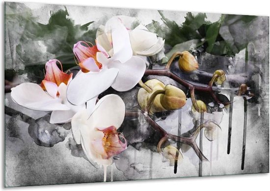 Canvas schilderij Orchidee | Wit, Grijs | |