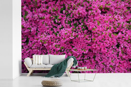 Papier peint photo peint photo vinyle - Azalée buisson largeur 330 cm x hauteur 220 cm - Tirage photo sur papier peint (disponible en 7 tailles)