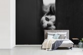 Behang - Fotobehang Dierenprofiel spiekende kat in zwart-wit - Breedte 600 cm x hoogte 400 cm