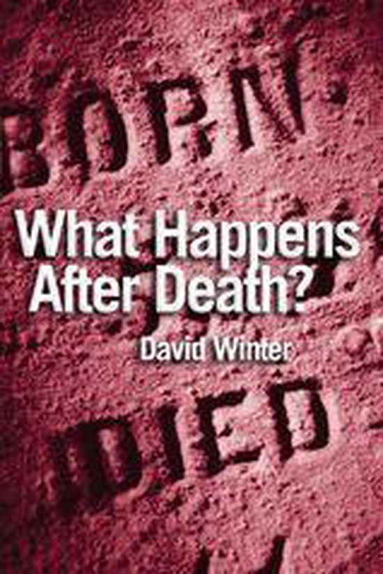 Omslag van What Happens After Death?