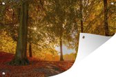 Couleurs d'automne dans une forêt affiche de jardin en vrac 180x120 cm - Toile de jardin / Toile d'extérieur / Peintures d'extérieur (décoration de jardin) XXL / Groot format!