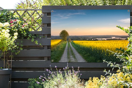 Champ de colza dans le Jutland Danemark affiche de jardin en vrac 120x80 cm - Toile de jardin / Toile d'extérieur / Peintures pour l'extérieur (décoration de jardin)
