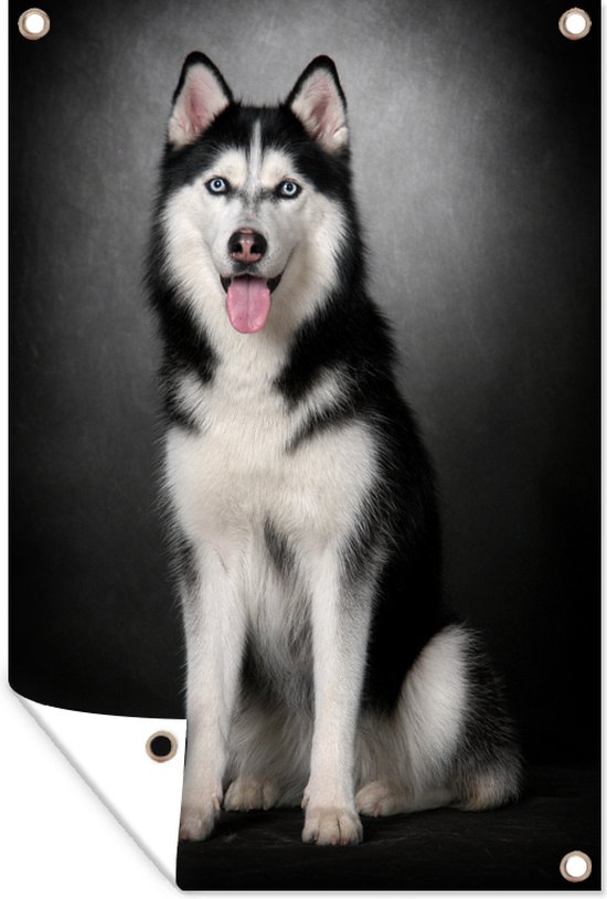 Tuinposter - Tuindoek - Tuinposters buiten - Siberische husky - 80x120 cm - Tuin