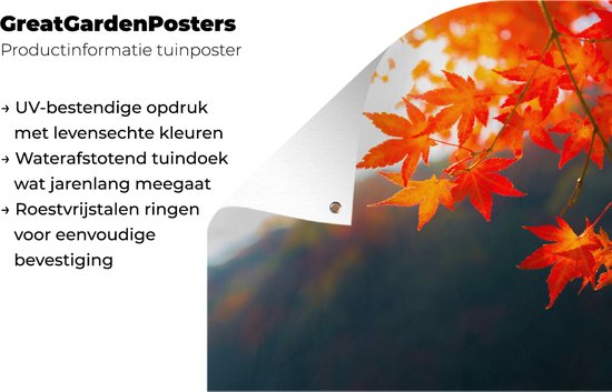 Affiche de jardin Feuilles d'automne au Japon - 120x80 cm - Jardin