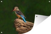 Tuindecoratie Mooie grijskopijsvogel op een houtstronk - 60x40 cm - Tuinposter - Tuindoek - Buitenposter