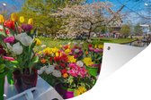 Bateau avec des tulipes dans le Keukenhof en Holland méridionale affiche de jardin 60x40 cm - petit - Toile de jardin / Toile d'extérieur / Peintures pour l'extérieur (décoration de jardin)