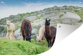 Affiche jardin Lamas - Alpaga au Pérou 180x120 cm - Toile jardin/Toile d'extérieur/ Peintures pour l'extérieur (décoration de jardin) XXL / Groot format !