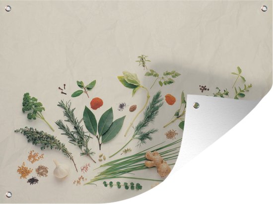 Tuinschilderij Kruiden en specerijen op effen achtergrond - 80x60 cm - Tuinposter - Tuindoek - Buitenposter