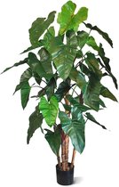 Philodendron deluxe kunstboom 170 cm - 100% Tevredenheidsgarantie