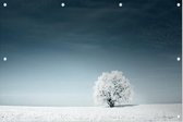Boom in het sneeuwlandschap - Foto op Tuinposter - 90 x 60 cm